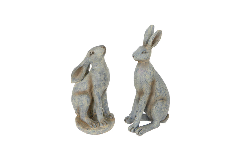 Grey Hare Two Styles