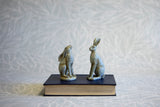 Grey Hare Two Styles