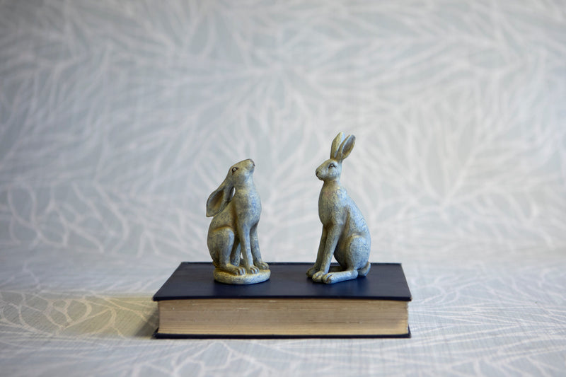 Grey Hare Two Styles