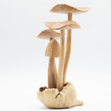 Handmade Parasite Wood Art Carving - Set of 4 Large Mushrooms